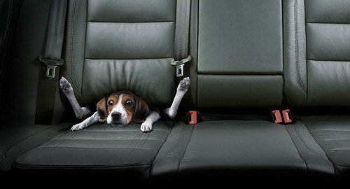 Approaching the event horizon