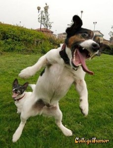 collegehumor_d838c76622357ba0cef911a96926667c