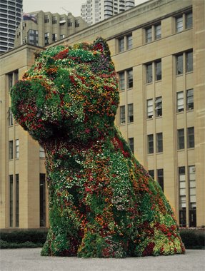 Koons' dappled puppy