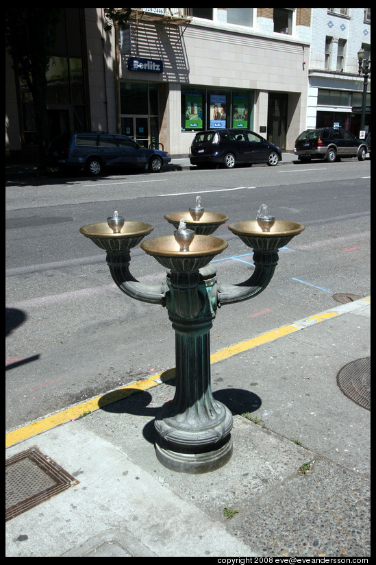 Photo by Eve Andersson